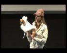 Eventi , Sfilata Autunno Inverno 2012 Miss Nanette 