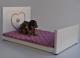 Chihuahua's Room: Complementi arredo , FASHION VICTIM LETTO 